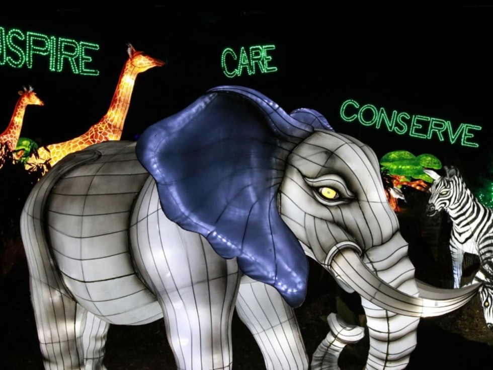 Dallas Zoo Lights
