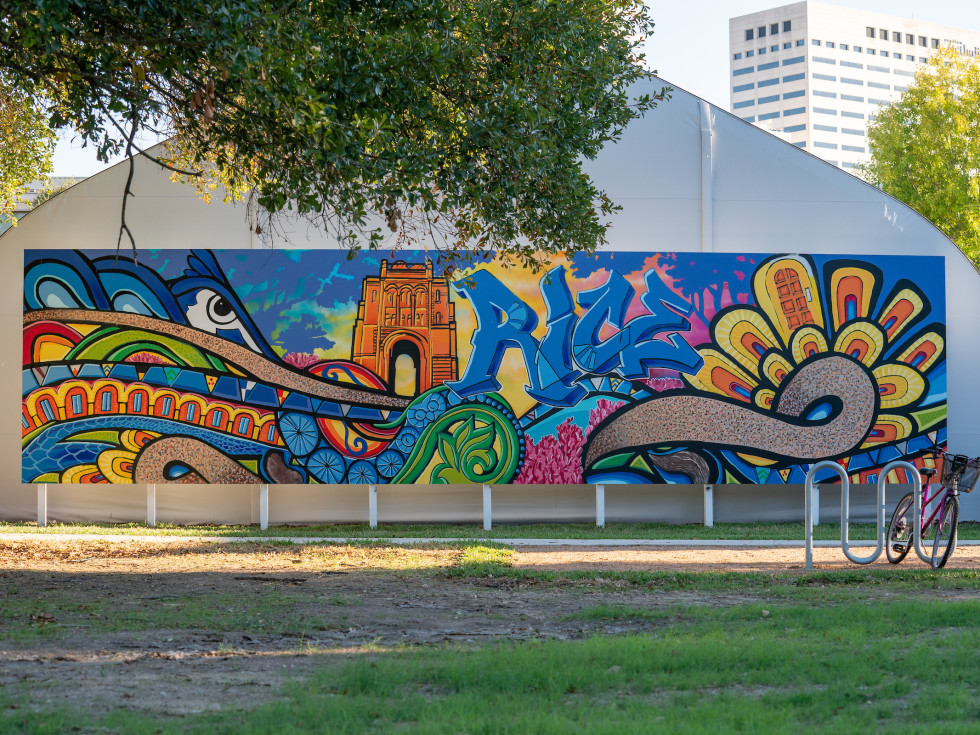 Rice University: Gonzo, Adding Value to the Moment