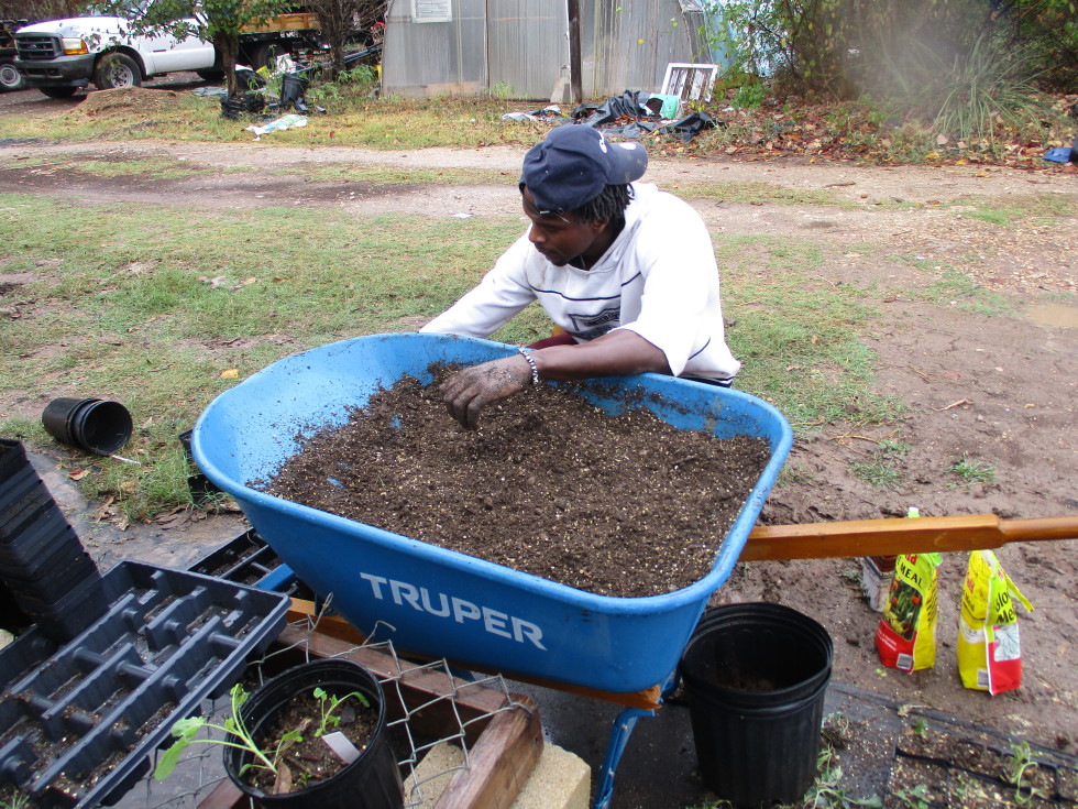 Black Lives Veggies