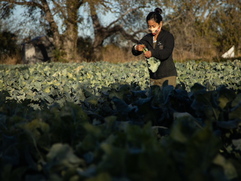 Farmshare Austin