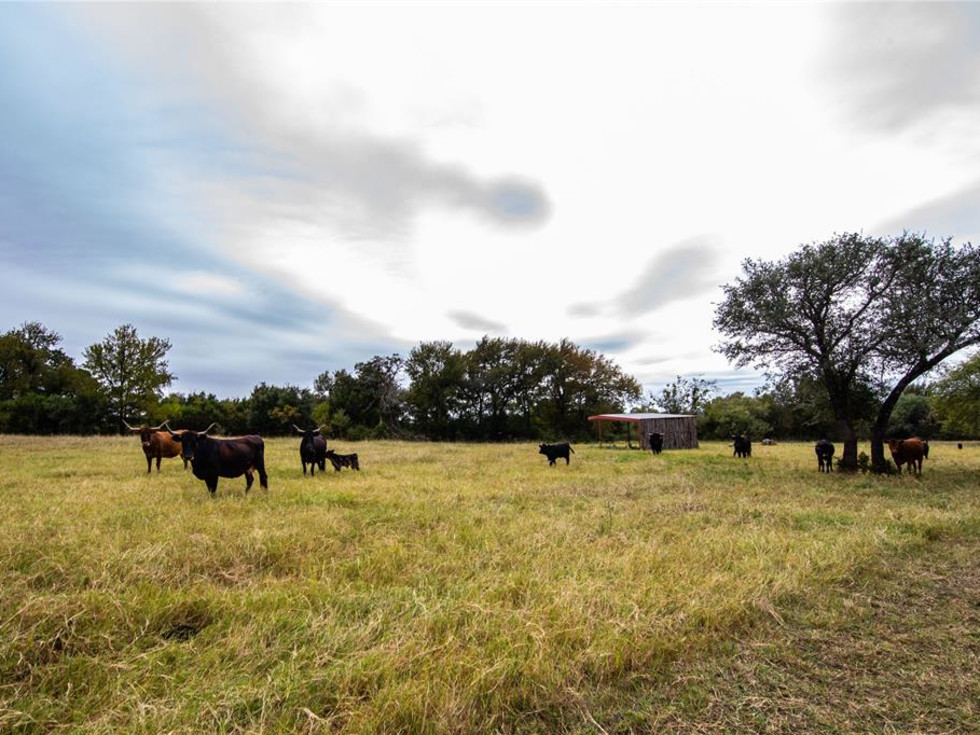 Bob Kingsley Ranch