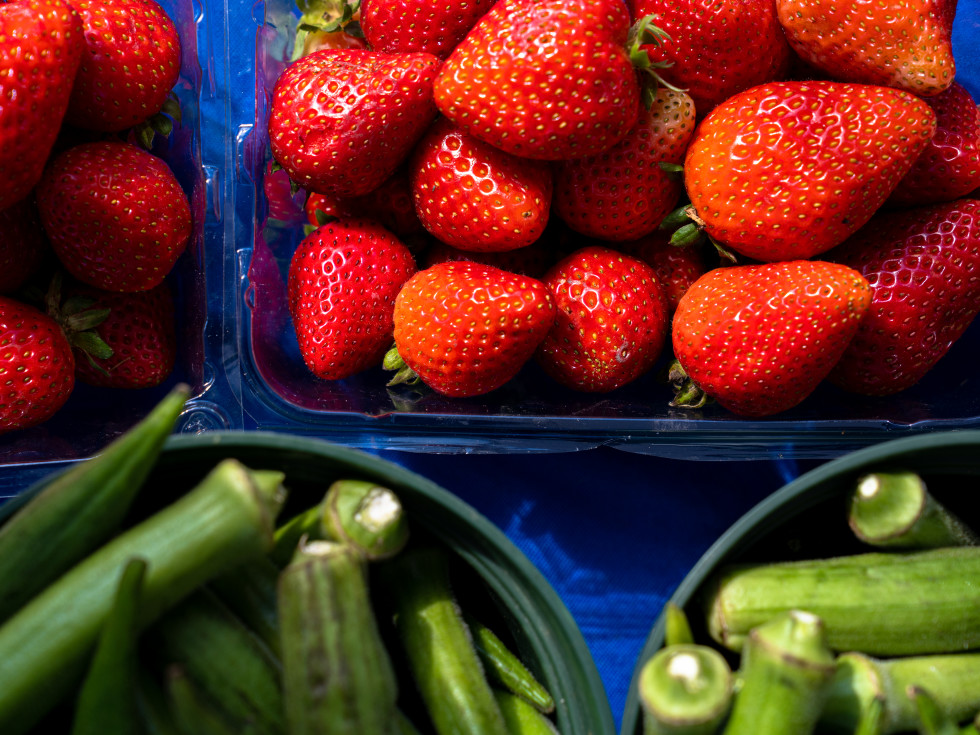 The Market at The District Houston farmers market