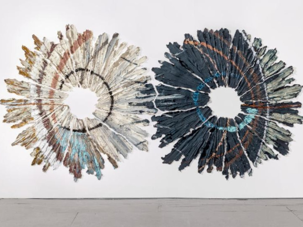 Moody Center for the Arts presents Brie Ruais: "Movement at the Edge of the Land"