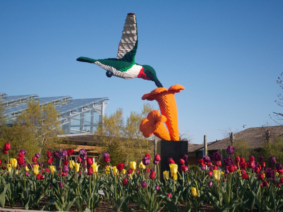 Sean Kenney’s Nature Connects Made with LEGO® Bricks
