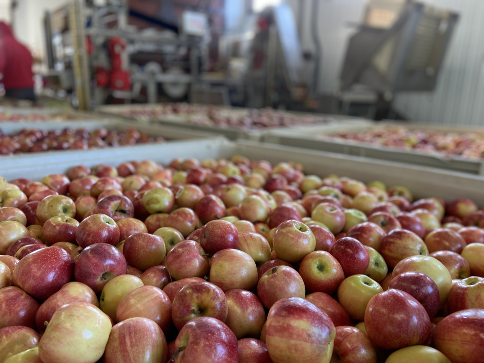 Bold Rock Hard Cider, press