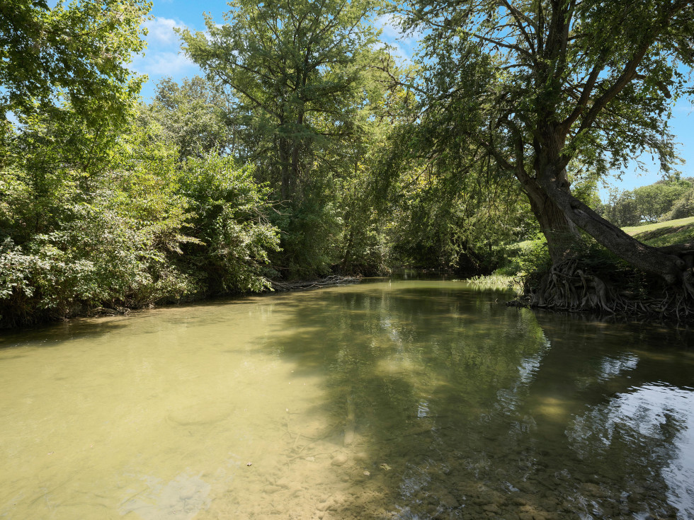 Guadalupe River