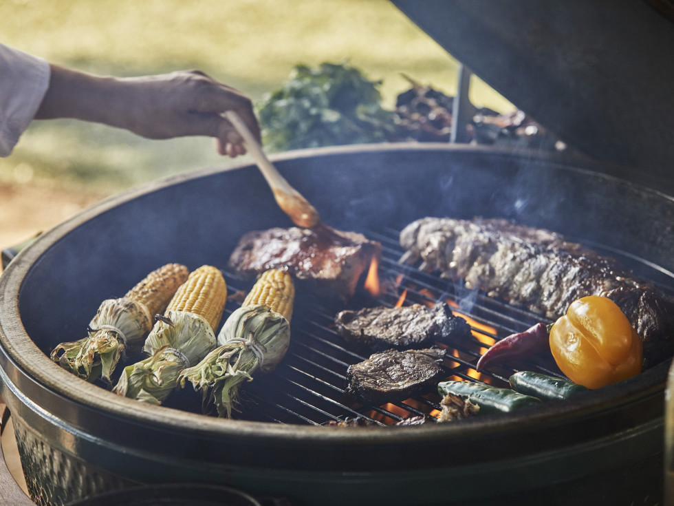 Big Green Egg Backyard BBQ