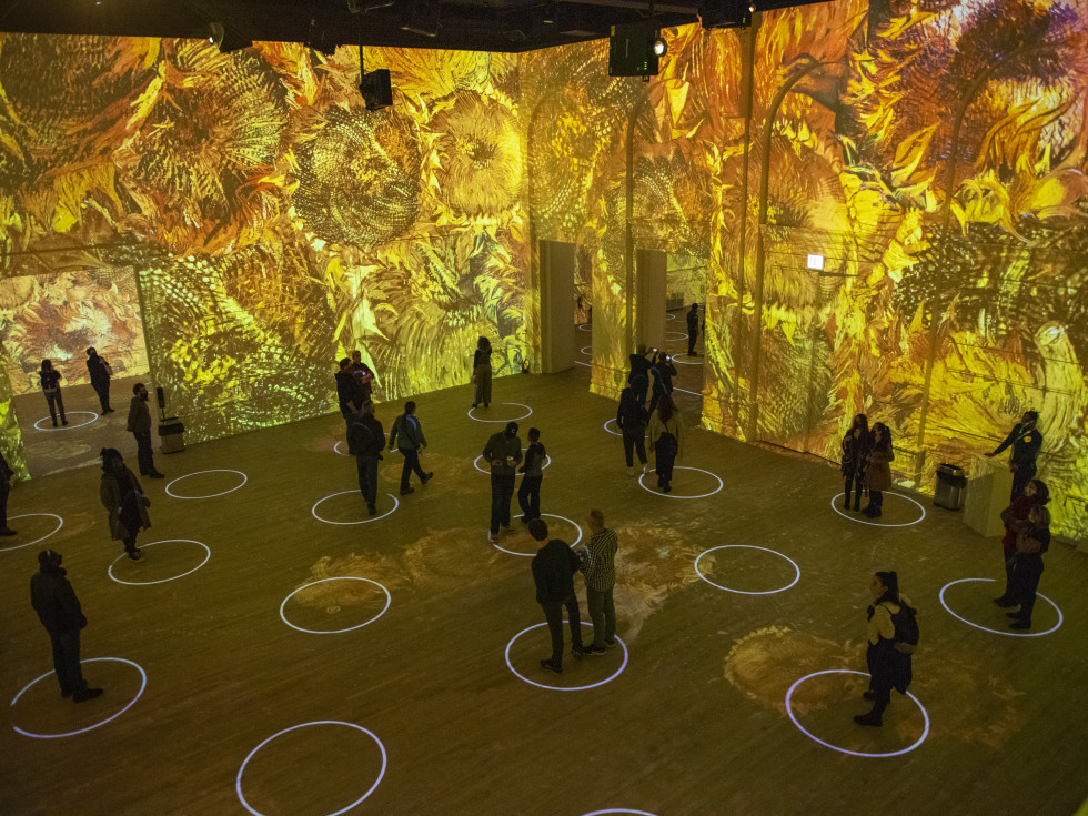 Immersive Van Gogh Exhibit Houston