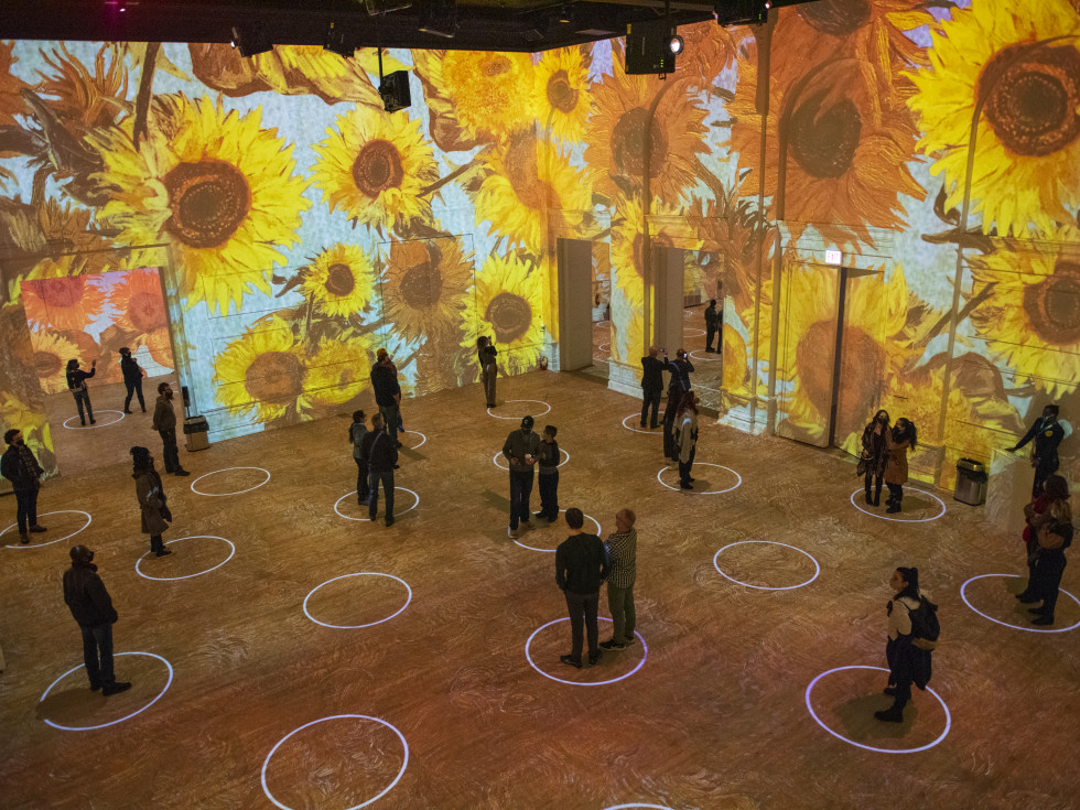 Immersive Van Gogh Exhibit Houston