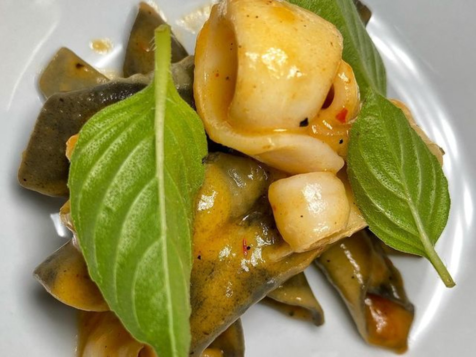 Squid Ink Garganelli