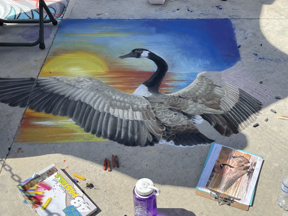 Via Colori Houston