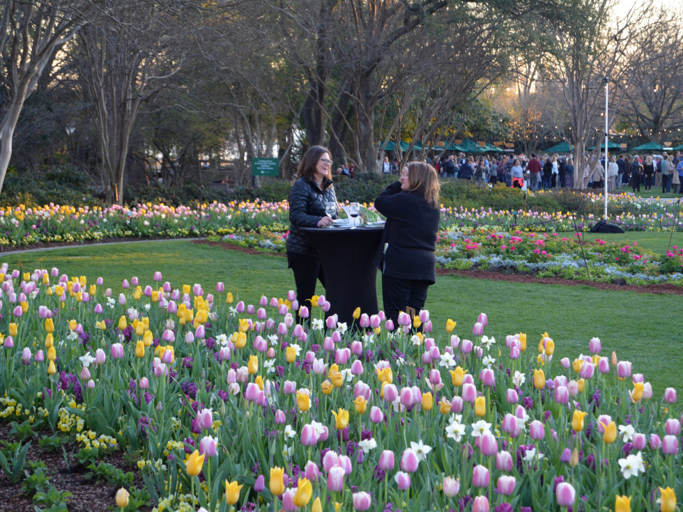 Dallas Arboretum Food and Wine Festival 2022