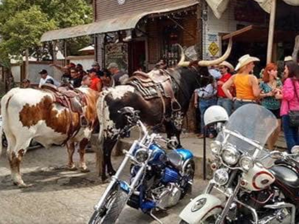 11th Street Longhorn