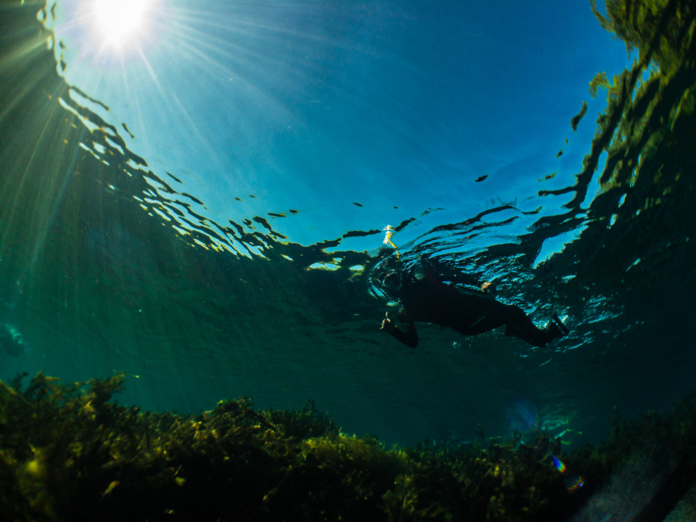 Snorkeling in the San Marcos River