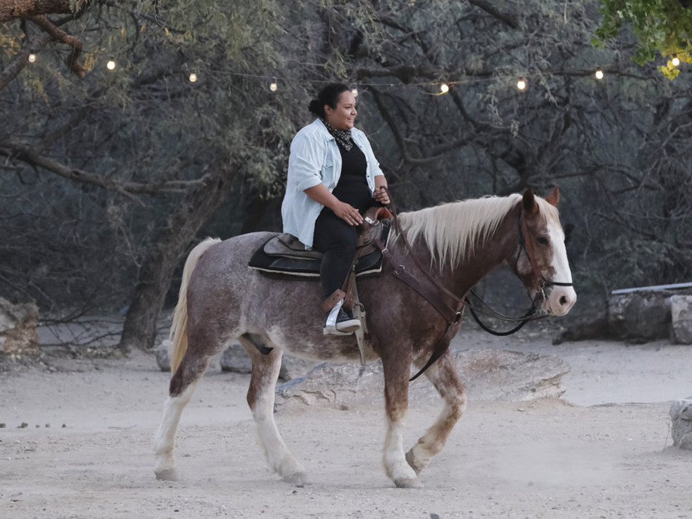 Top Chef Houston episode 14