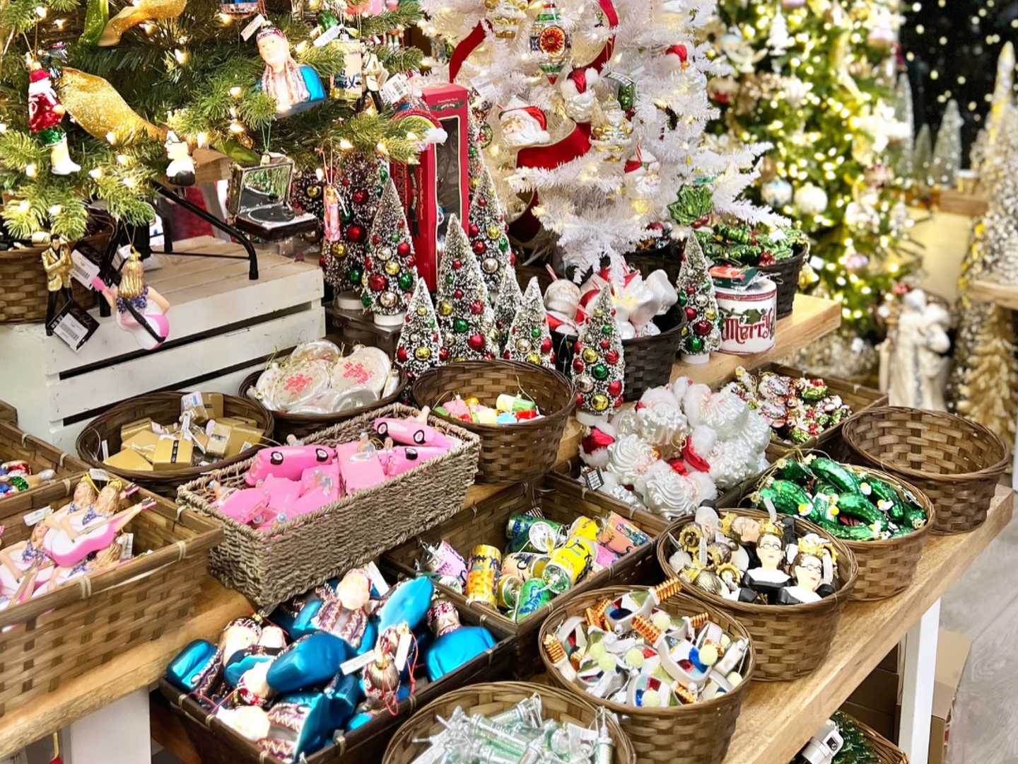 primary-series-image