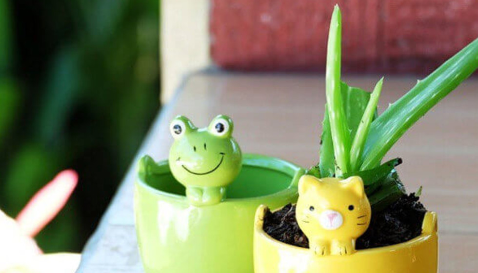 Japanese dollar store seduces North Texans with 70,000 adorable things