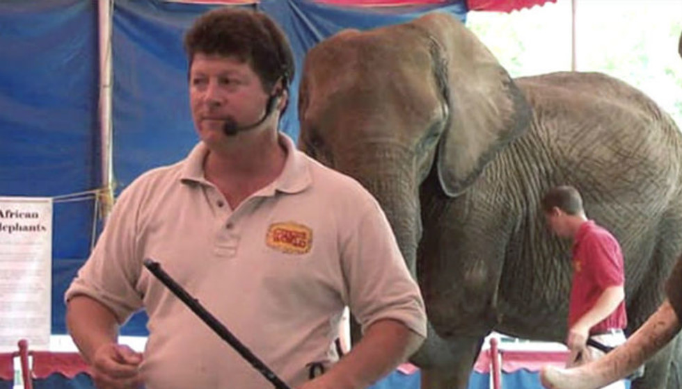 Notorious animal trainer southeast of Dallas gets shut down by USDA