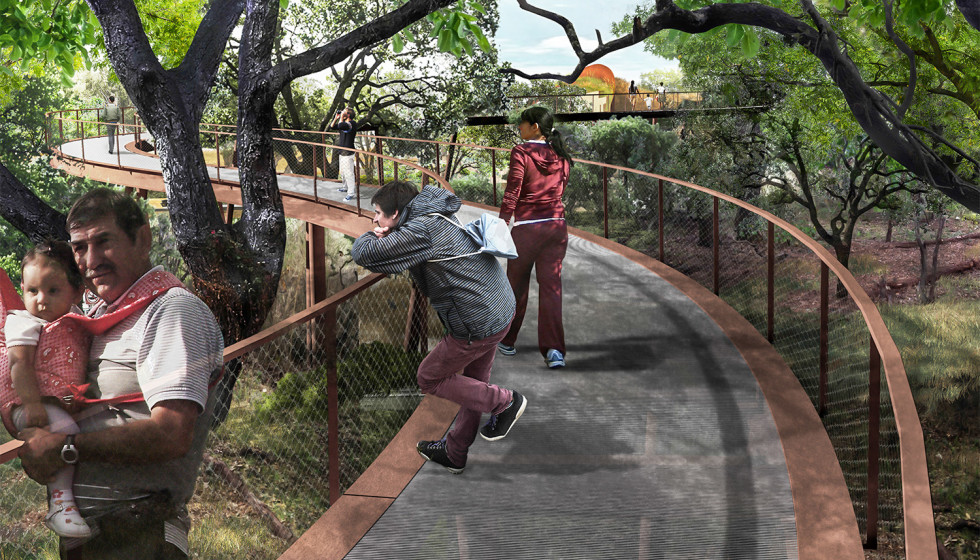 Spectacular skywalk officially opens at expansive Texas land bridge - Vimarsana News