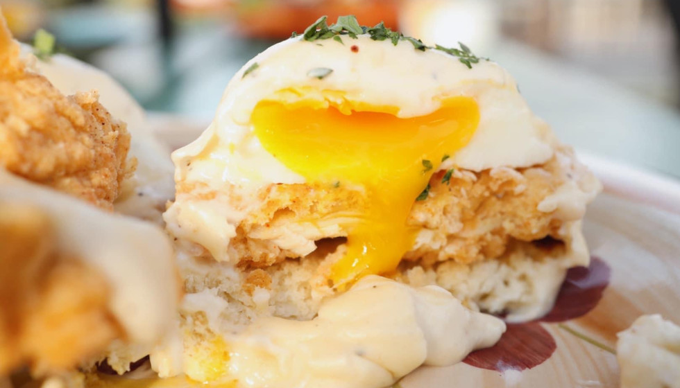 Favorite San Antonio cafe bundles up for winter with help from Yelp - Vimarsana News