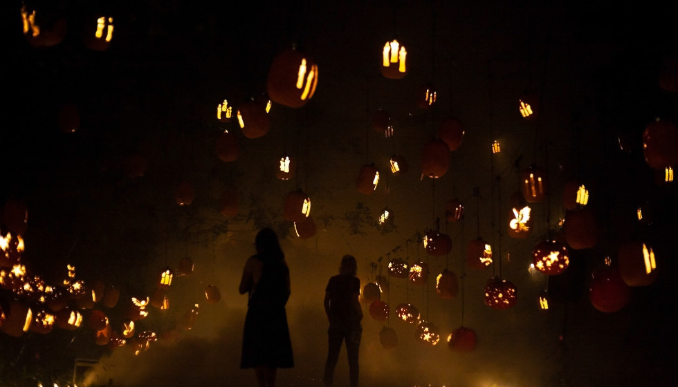 Austin site transforms into Halloween event with thousands of pumpkins - Vimarsana News