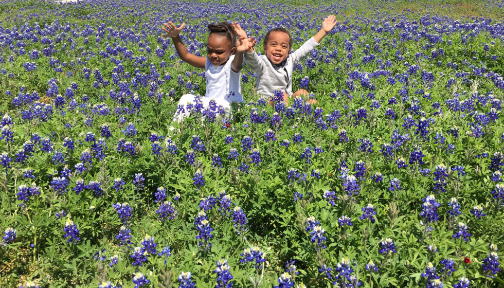 Best bluebonnets in Houston and around Texas in spring 2022 - Vimarsana News