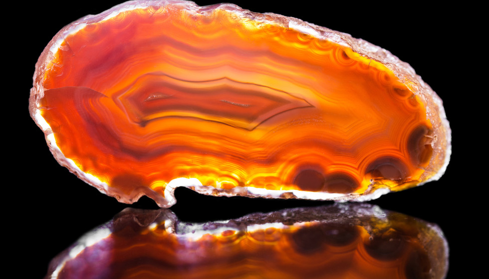 RMGM Promotions presents Texas Mineral & Fossil Dallas-Plano Show - Vimarsana News