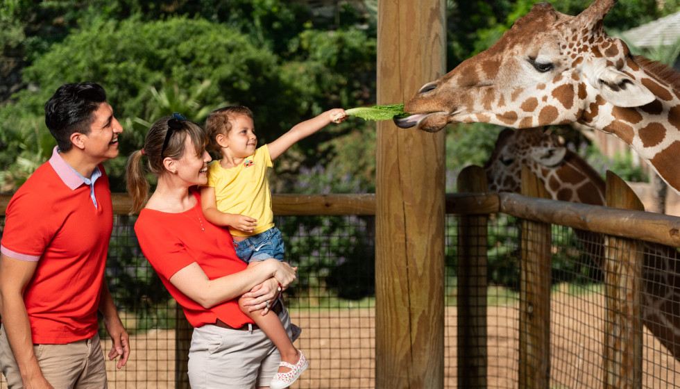 Walk on the wild side with 750+ species at San Antonio Zoo - Vimarsana News