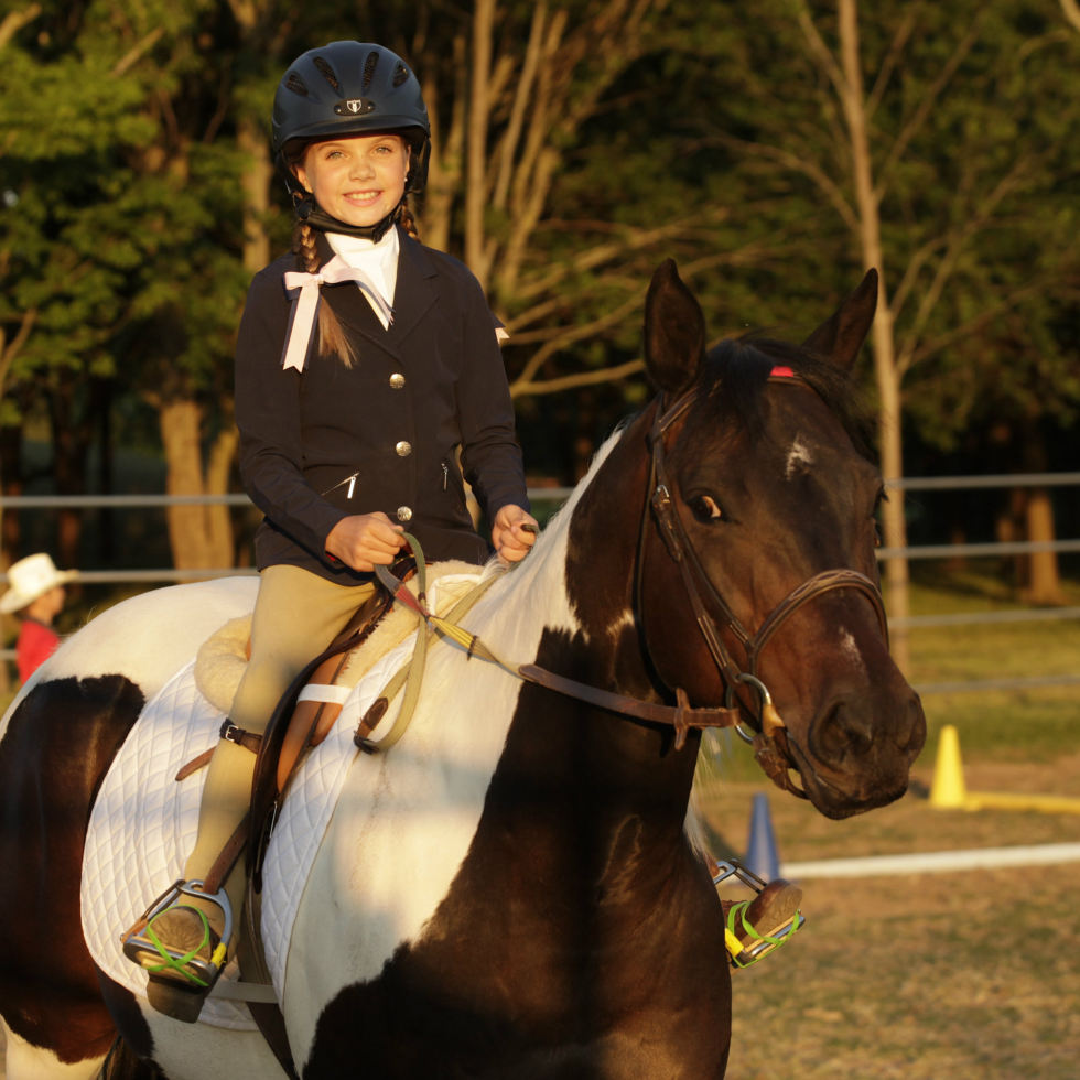 Fun-loving Dallasites horse around at 35th anniversary charitable gala ...