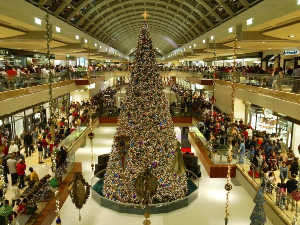 The Largest Shopping Malls in America
