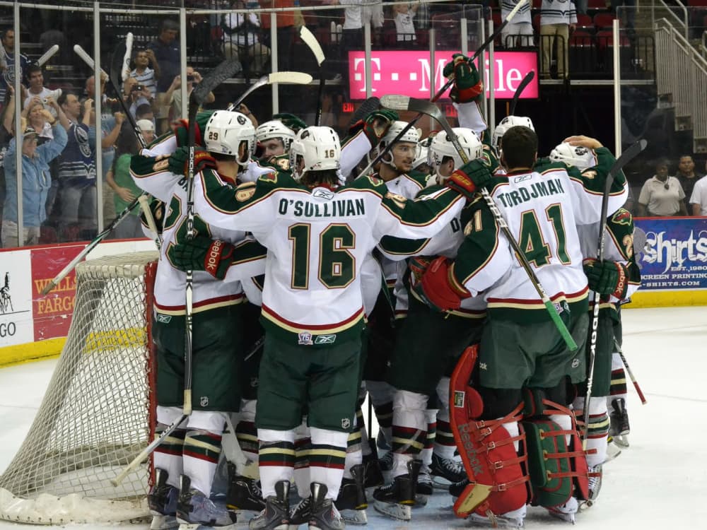 Houston Aeros: What happened to Houston's former ice hockey team 10 years  ago?