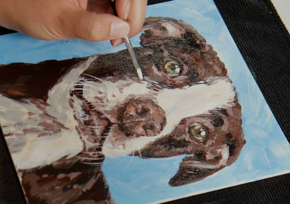 Acrylic Pet Portrait Course: Brown And White Dog