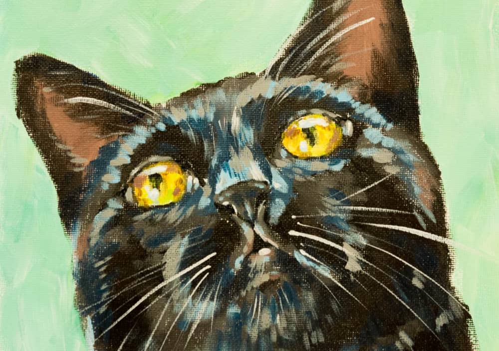 Acrylic Pet Portrait Course: Black Cat