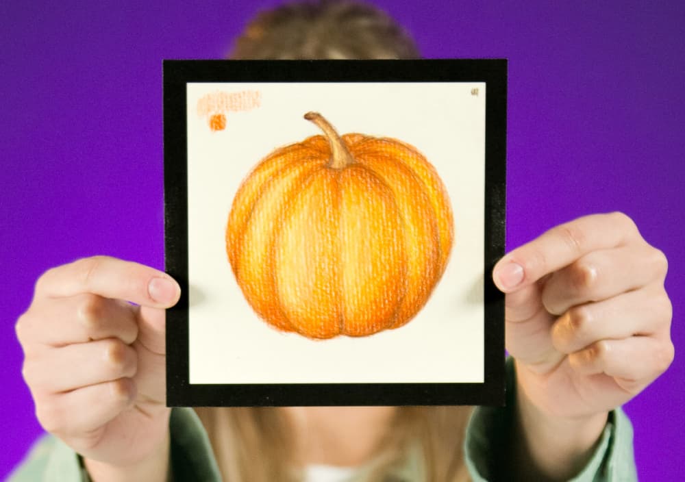 Live Replay: Pumpkin Illustration