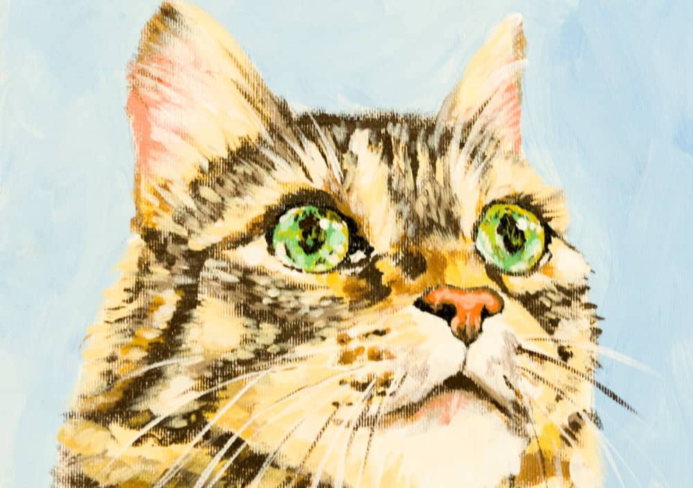 Acrylic Pet Portrait Course: Tabby Cat