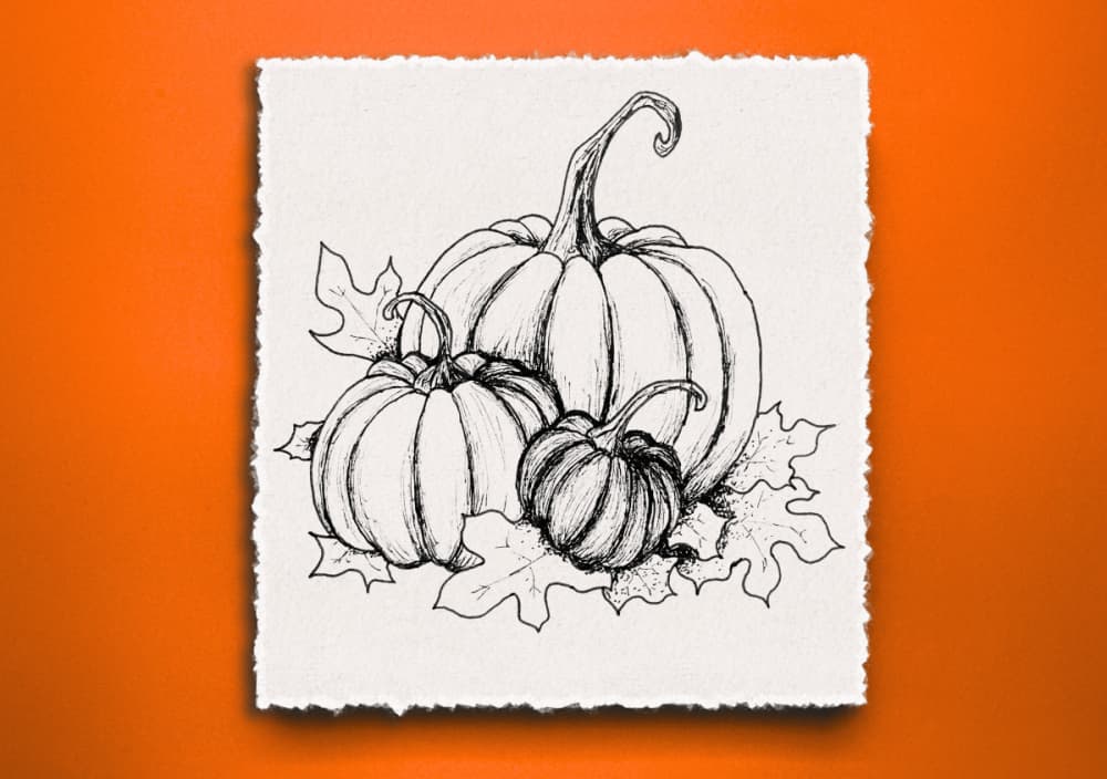 Live Replay: Pumpkin Ink Drawing