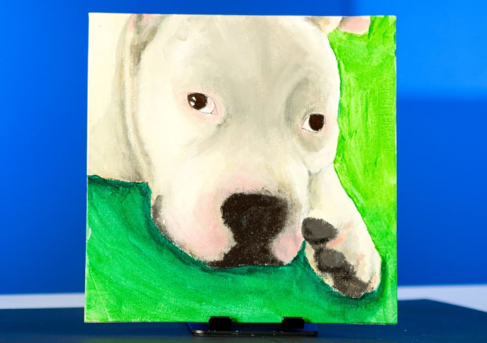 We Paint Your Photos: Forrest The White Pitbull