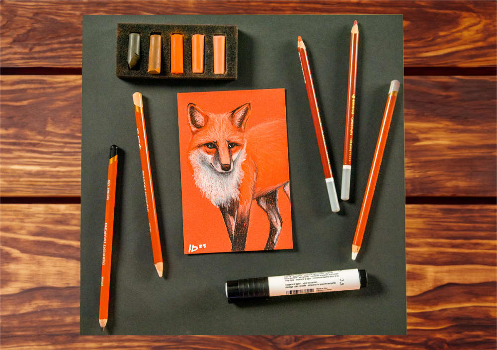 Sketchbox January 2024: Fox Illustration