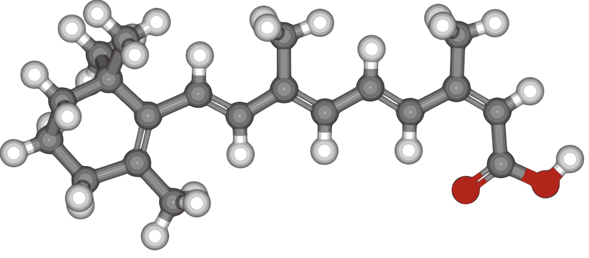 accutane3d