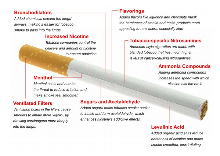 Lung Cancer Reflection