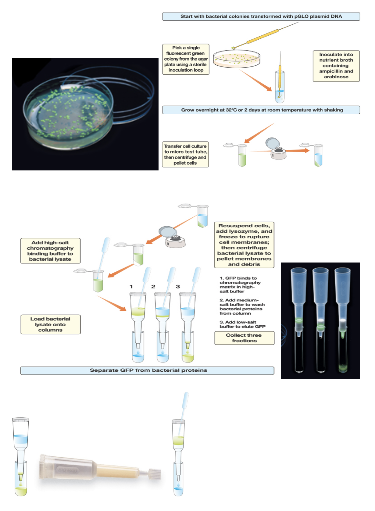 labprocess