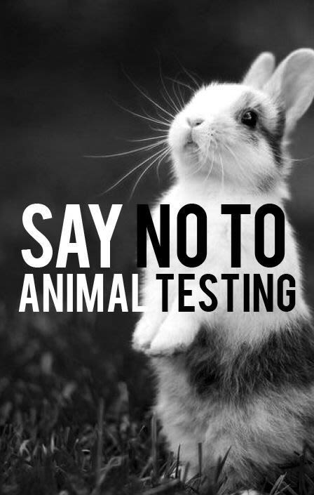 animaltesting