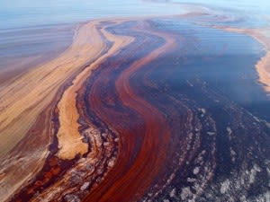 oilpolluyion