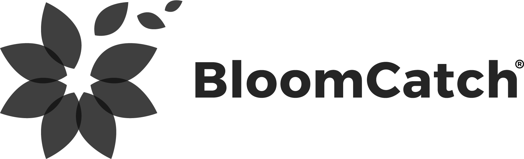 https://www.bloomcatch.com/