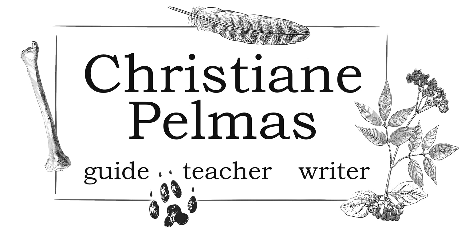 https://www.christianepelmas.com/