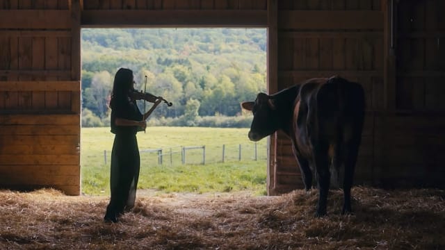 Thumbnail of DP Liza Gipsova's work on Animal Sanctuary branded music video
