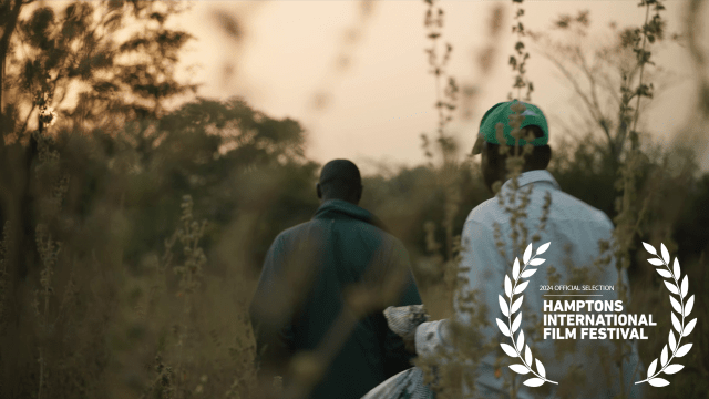 Thumbnail of DP Liza Gipsova's work on The Fly Collectors