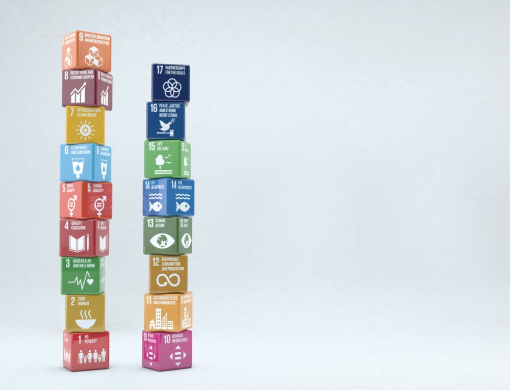 Some businesses directly map their practices and operations to one or more of the UN sustainable development goals. Small colourful building blocks showing the 17 sustainable development goals