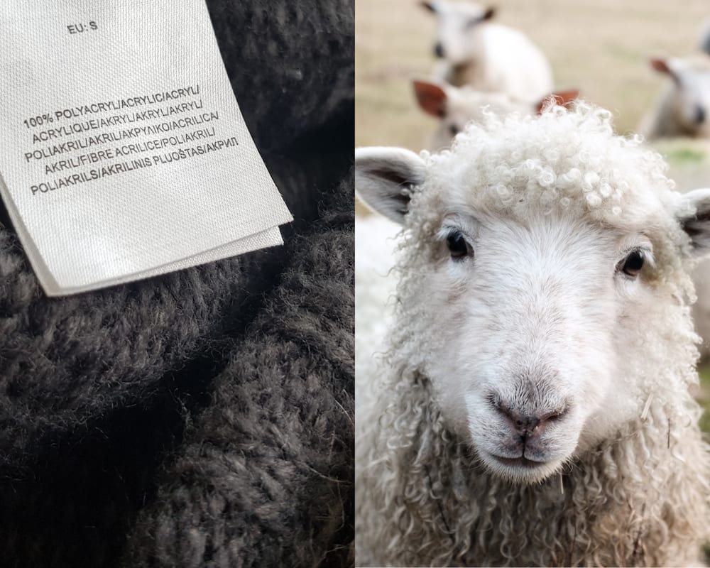 Composite of a 'woollen looking' acrylic jumper and a white woolly sheep