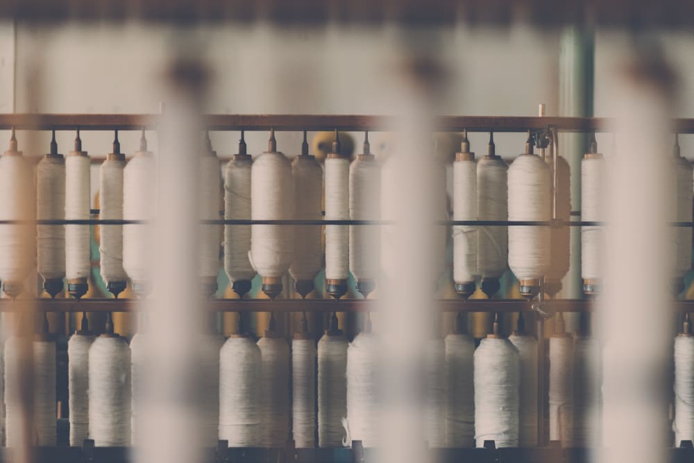Cotton fibres are found in around 3/4 of clothing produced worldwide Cotton fibres being spun